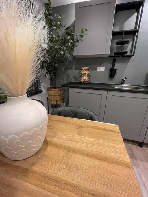 Gezellig Appartement, Gerenoveerd Eind 2022 提耳堡 外观 照片